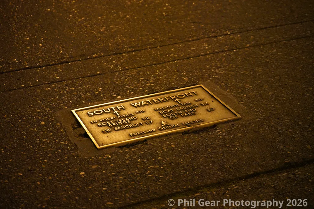 PDX Winter Light Festival 2026 - DSC02626