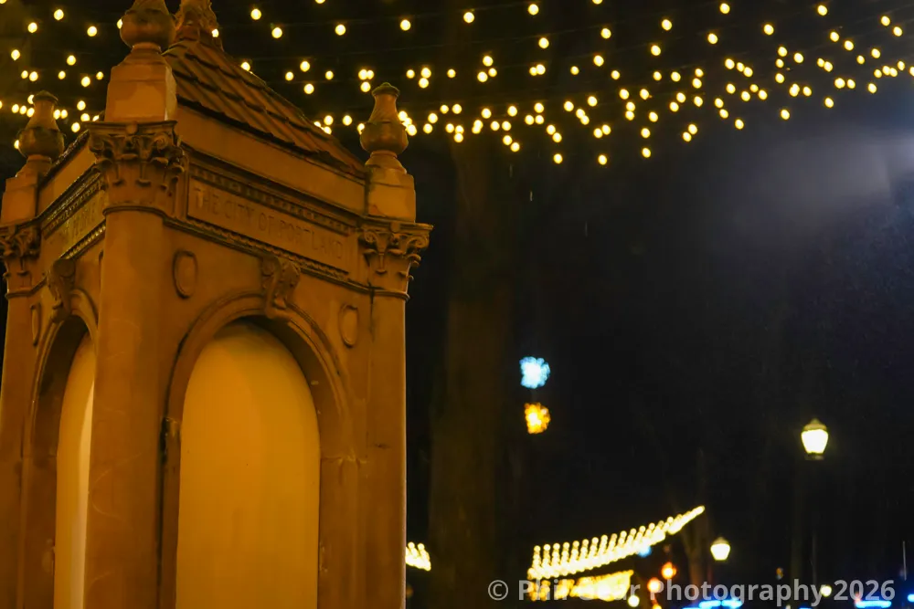 PDX Winter Light Festival 2026 - DSC03112