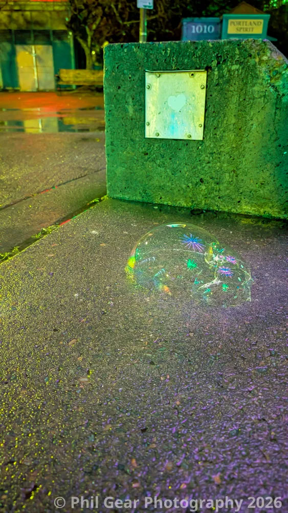 PDX Winter Light Festival 2026 - PXL_20260208_083358778.NIGHT.RAW-01.COVER