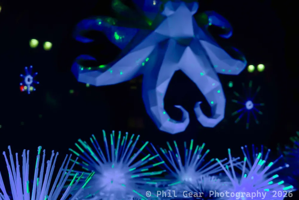 PDX Winter Light Festival 2026 - _DSC2389
