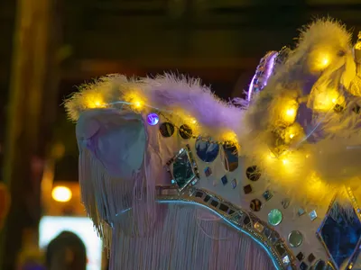 Mardi Gras Parade 2025 - 20250304-103