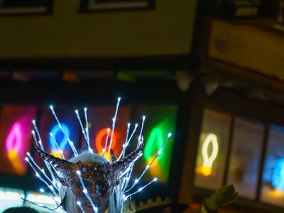 Mardi Gras Parade 2025 - 20250304-163