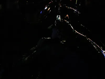 Mardi Gras Parade 2025 - 20250304-53