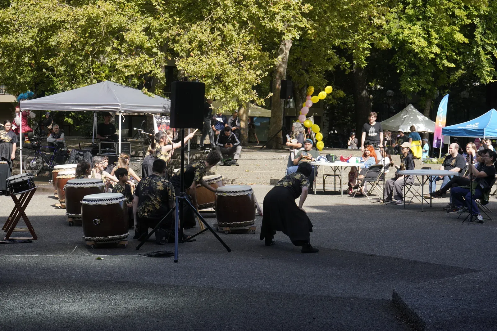 Portland Sunday Parkways 2025 — Community Street Life No. 14