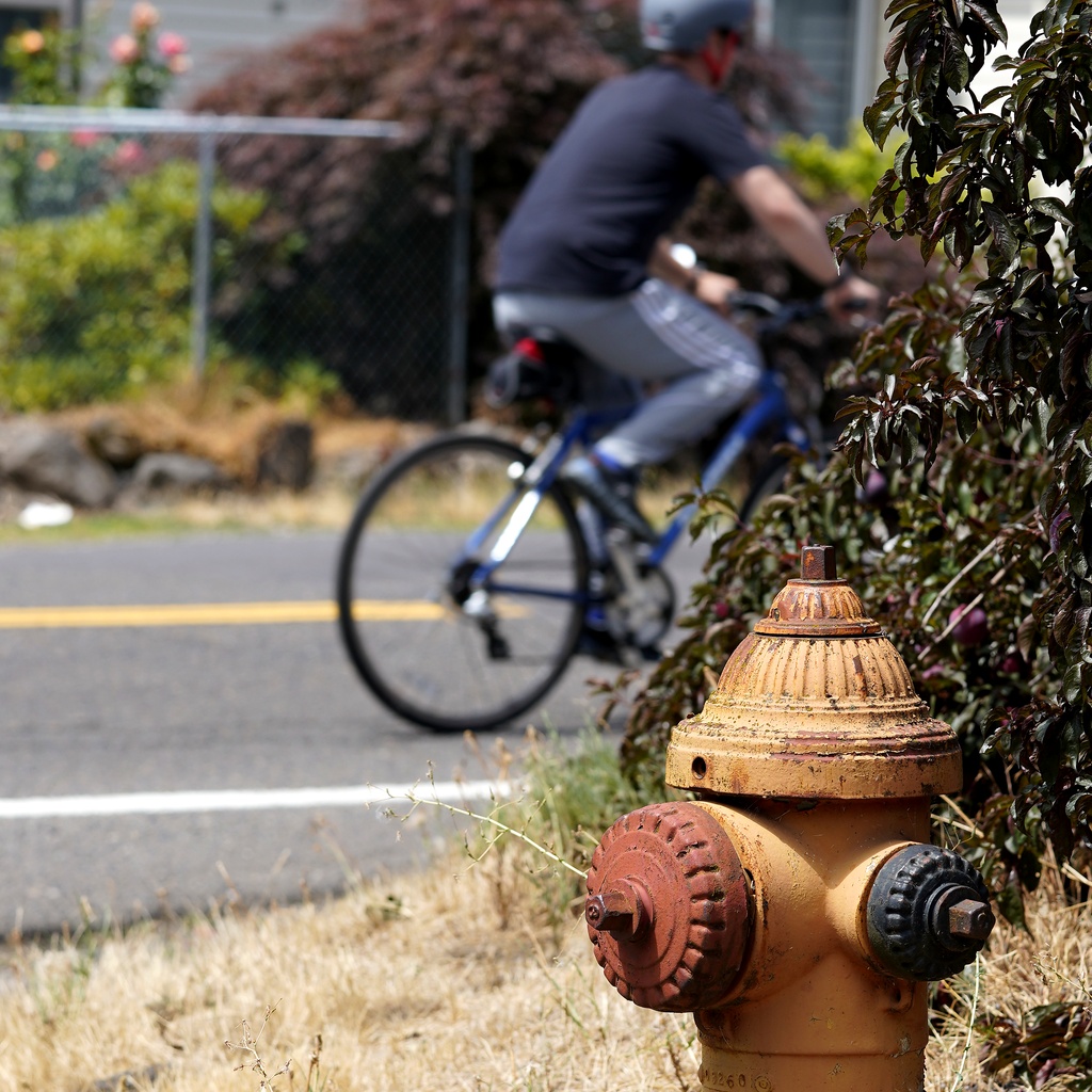 Two-Lane Heritage: Weathered Hydrant & Summer Cyclist in Motion