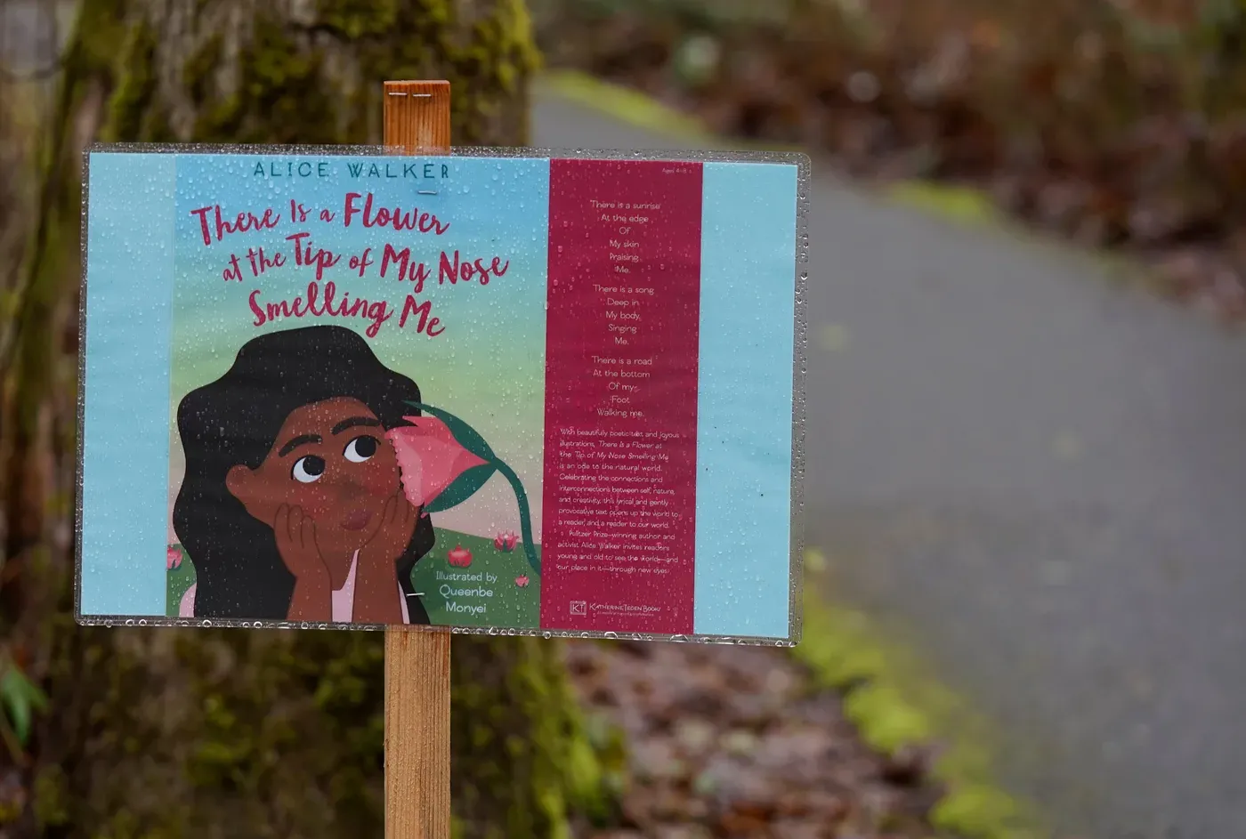 Tualatin Hills Nature Park: Coniferous Canopy & Wetland Boardwalk