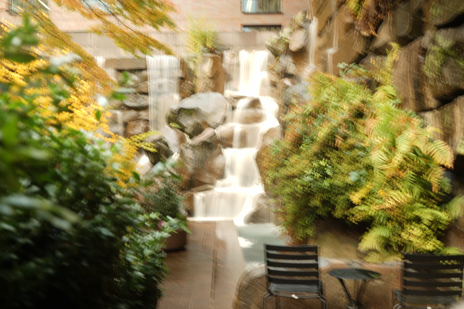 Pacific Crest Living Sanctuary #1806