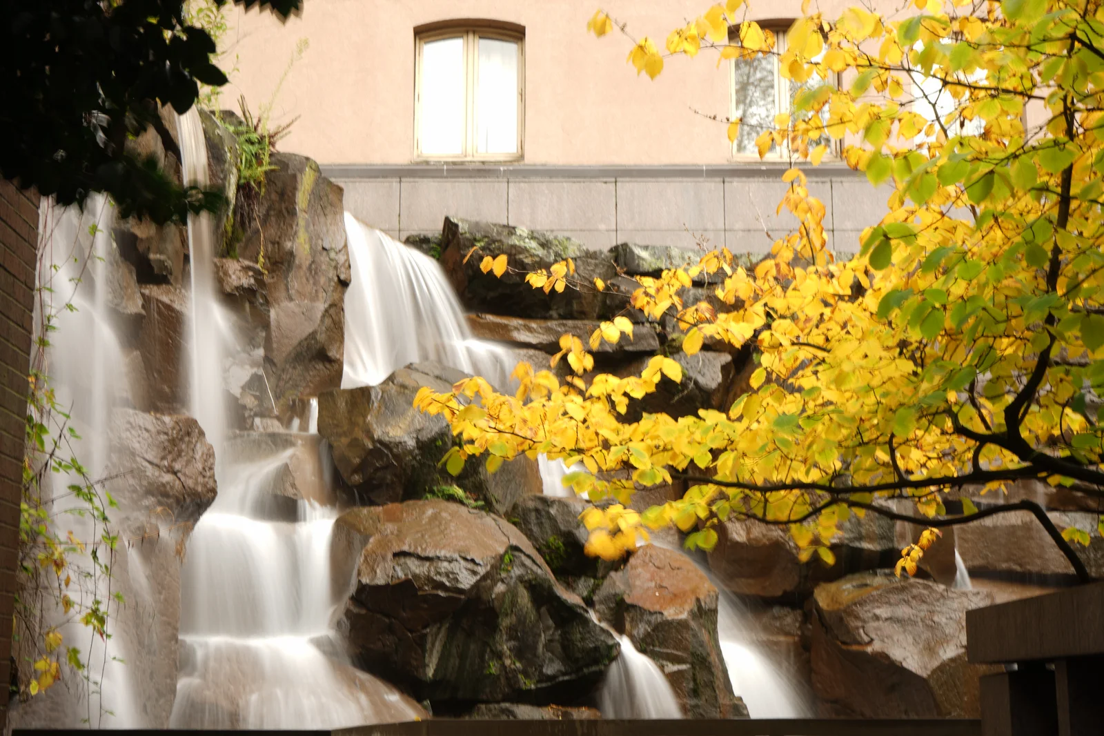 Pacific Crest Living Sanctuary #1814