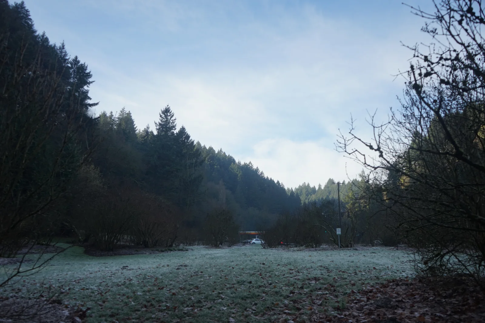 Pacific Northwest Wilderness Monograph Study #2311