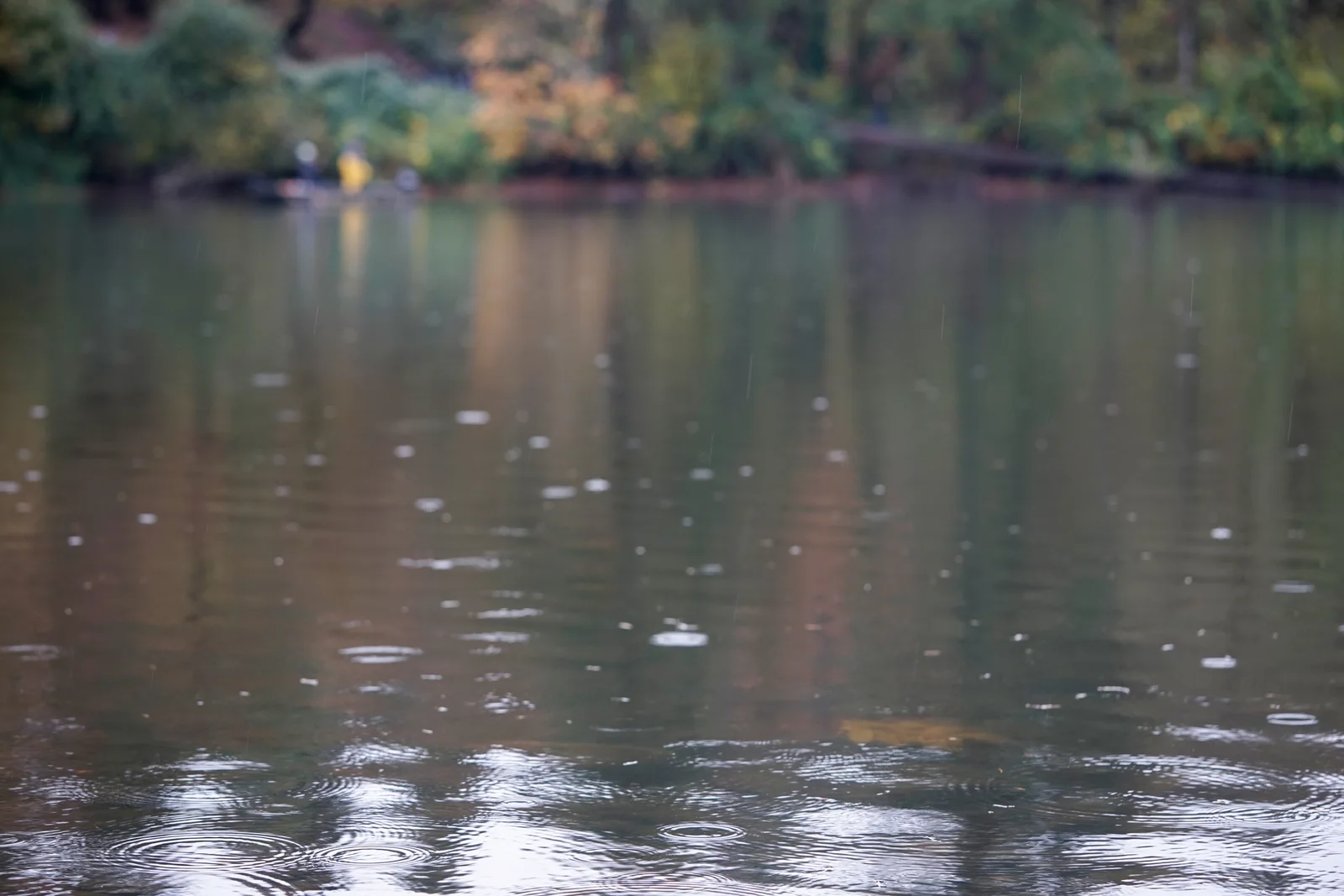 Camas Fishing (archival Study #4)